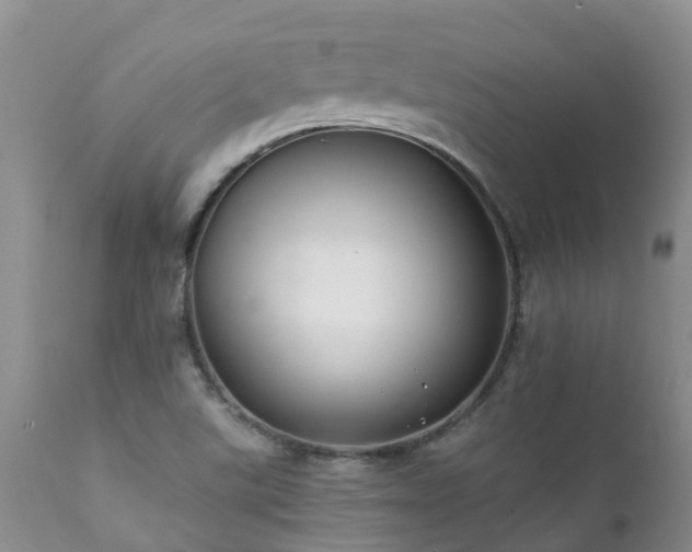 X0000112111507200908111429