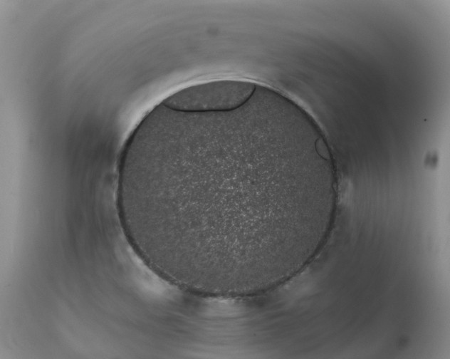 X0000112111508200908111429