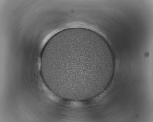 X0000112111509200908111429