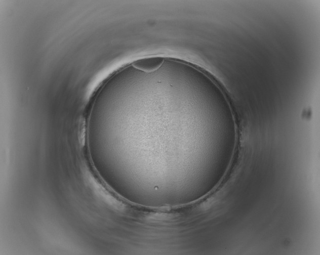 X0000112111510200908111429