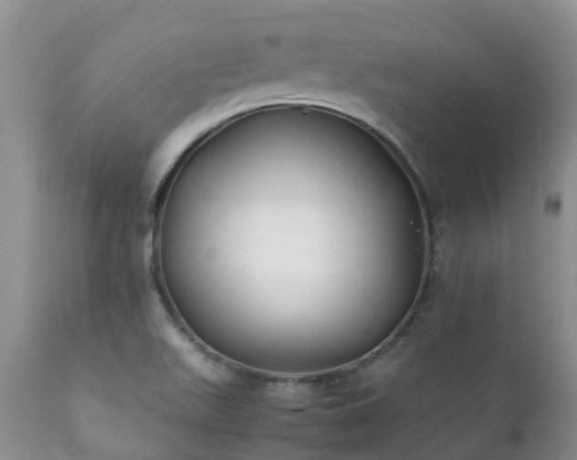 X0000112111511200908111429