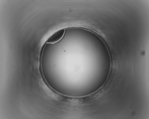 X0000112111512200908111429