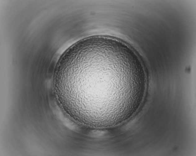 X0000112111513200908111429