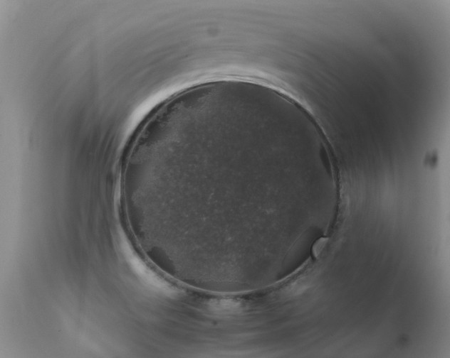 X0000112111515200908111429