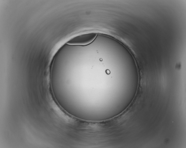 X0000112111516200908111430