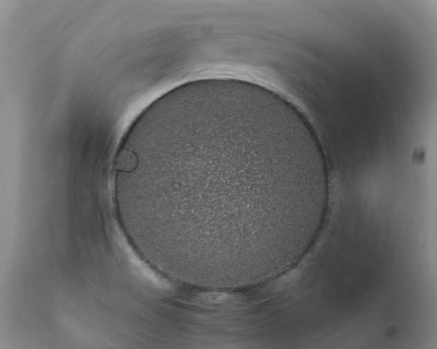 X0000112111517200908111430