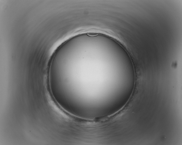 X0000112111518200908111430