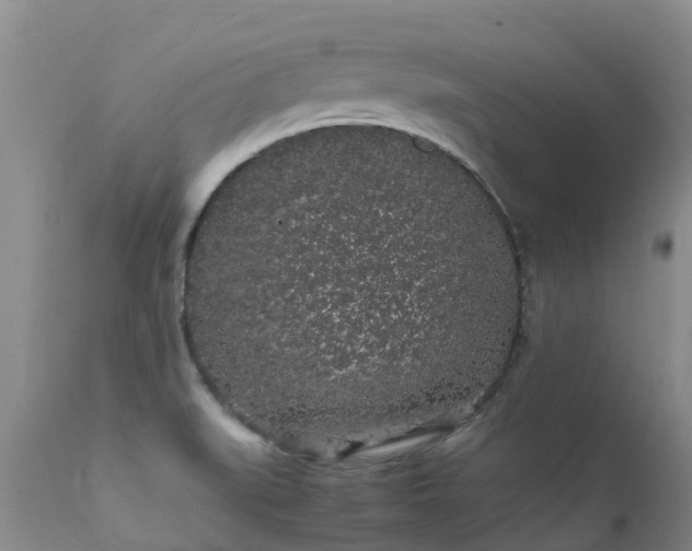 X0000112111519200908111430