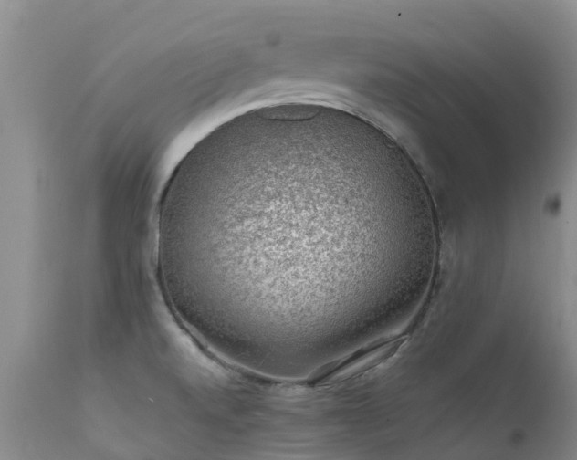 X0000112111520200908111430