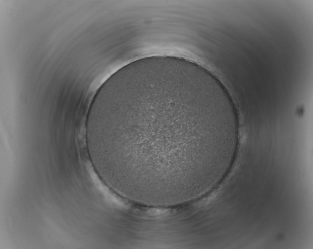 X0000112111521200908111430