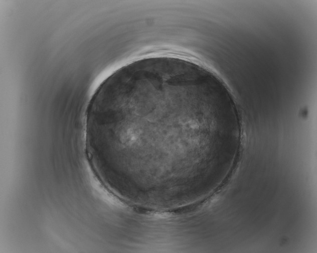 X0000112111522200908111430