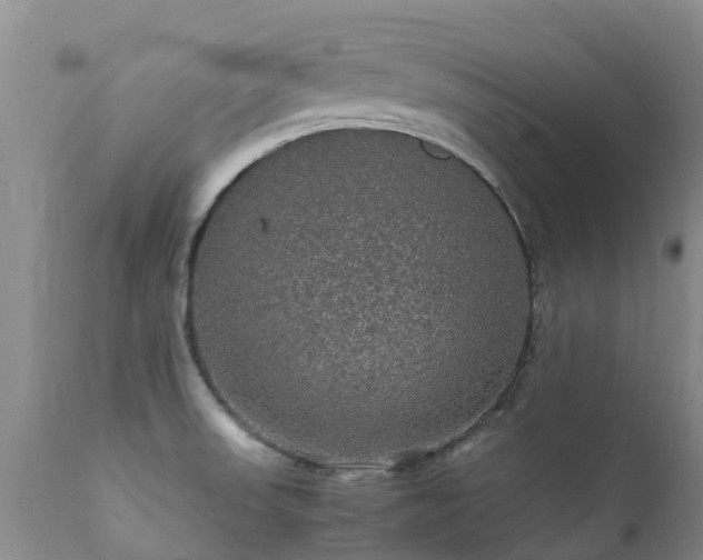 X0000112111523200908111430