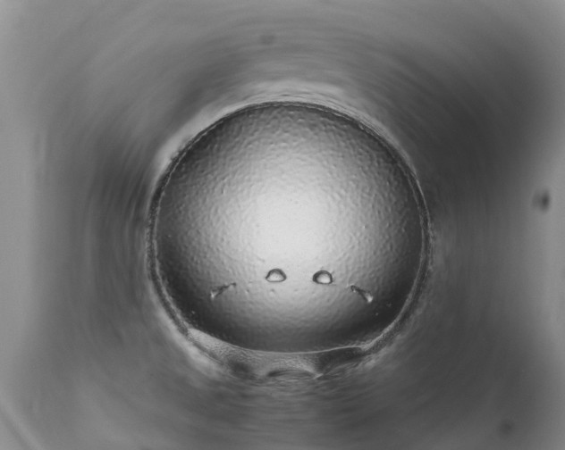 X0000112111525200908111430