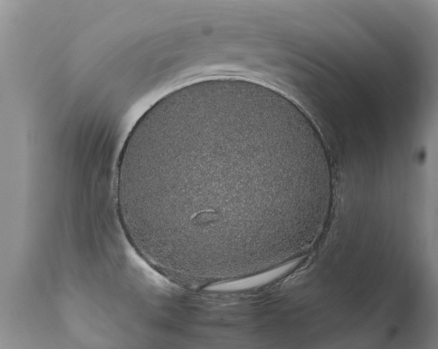 X0000112111527200908111430