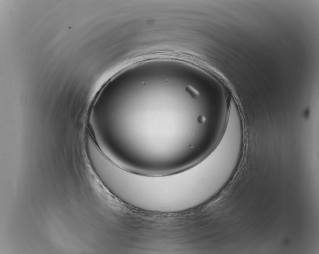 X0000112111530200908111430