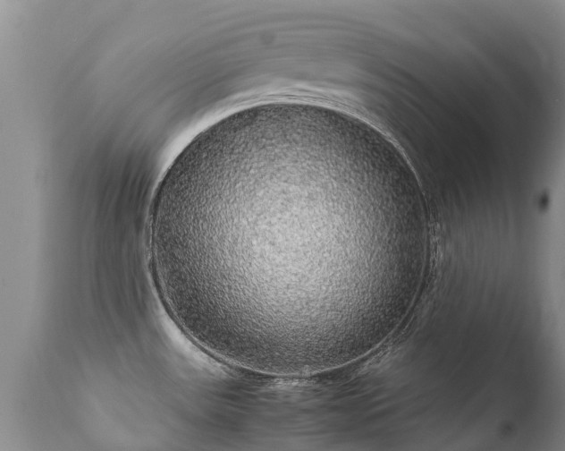 X0000112111531200908111430