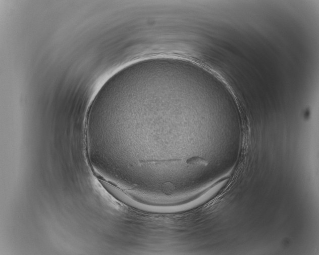 X0000112111532200908111430