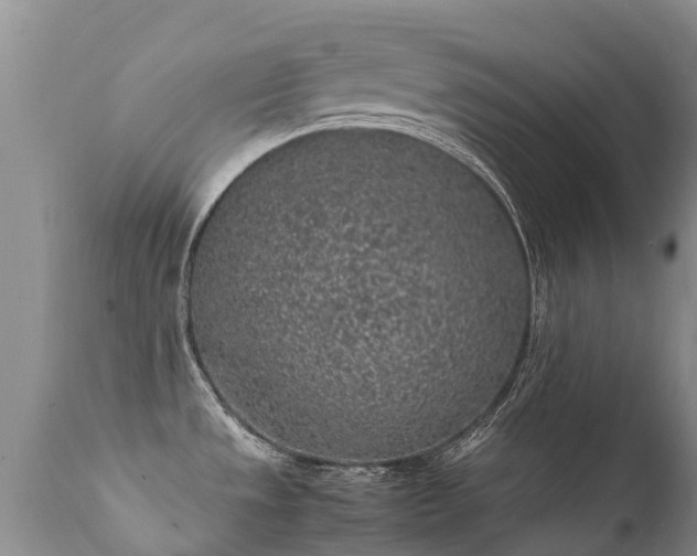 X0000112111533200908111430