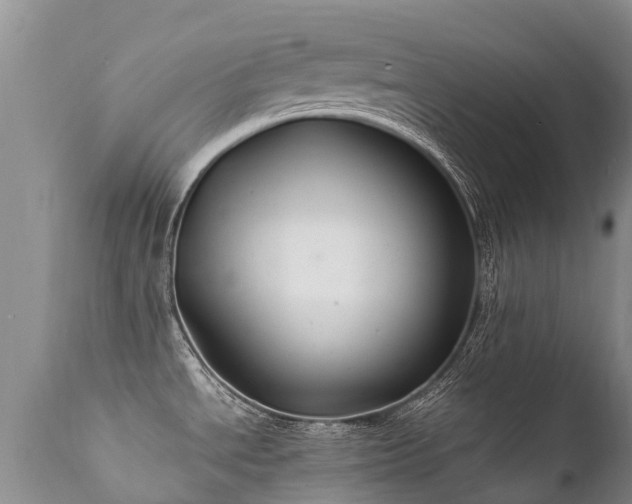 X0000112111534200908111430