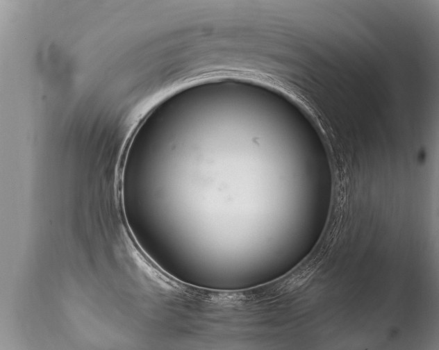 X0000112111535200908111430