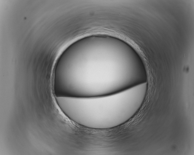 X0000112111536200908111430