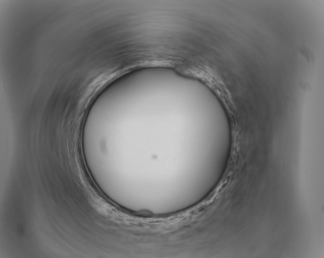 X0000112110001200908181358