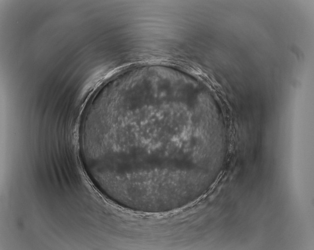 X0000112110002200908181358