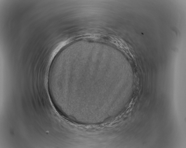 X0000112110003200908181358