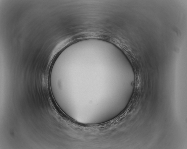 X0000112110004200908181357