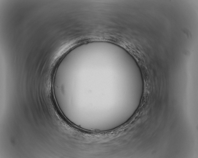 X0000112110005200908181357