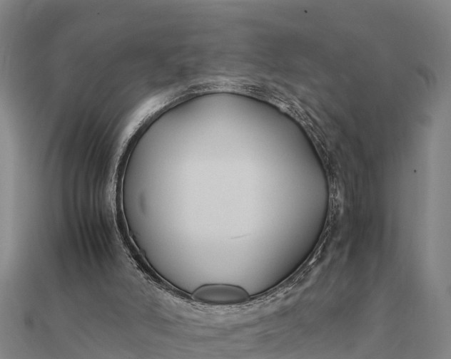 X0000112110006200908181357