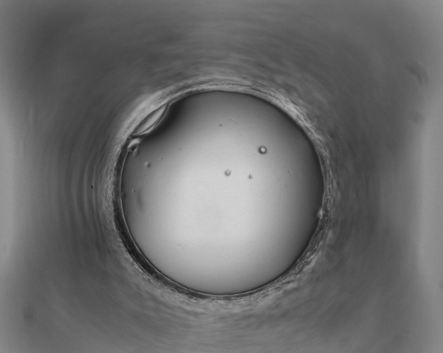 X0000112110007200908181357