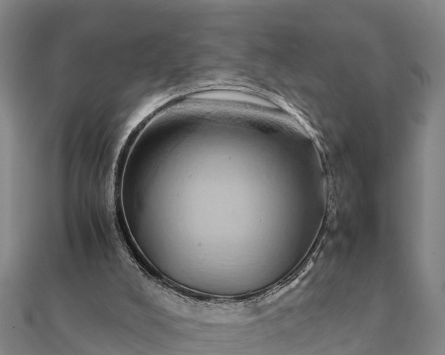 X0000112110008200908181357