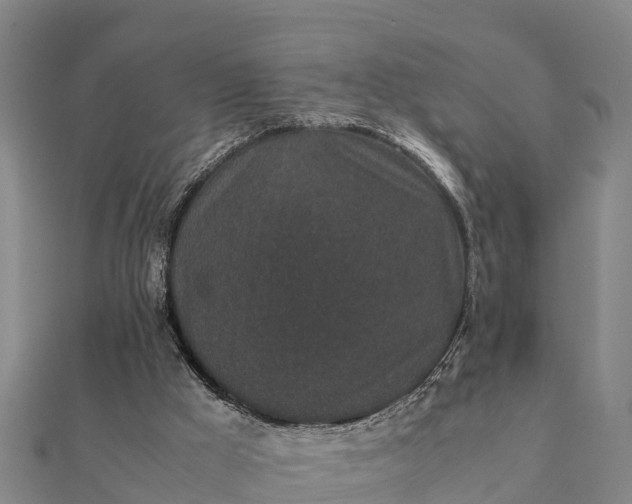 X0000112110009200908181357