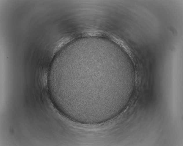 X0000112110010200908181357