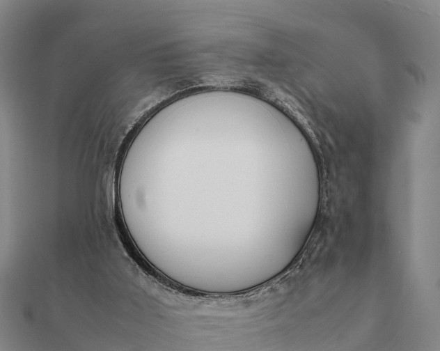 X0000112110011200908181357