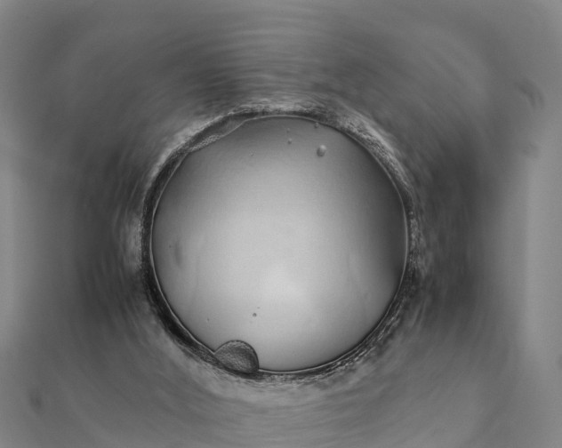 X0000112110012200908181357