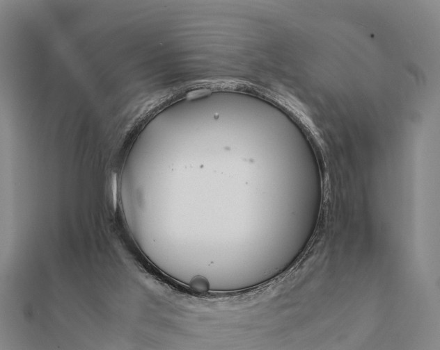 X0000112110013200908181357