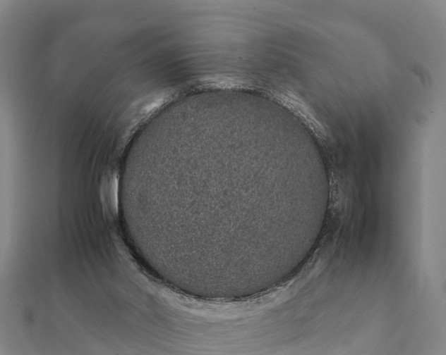 X0000112110014200908181357