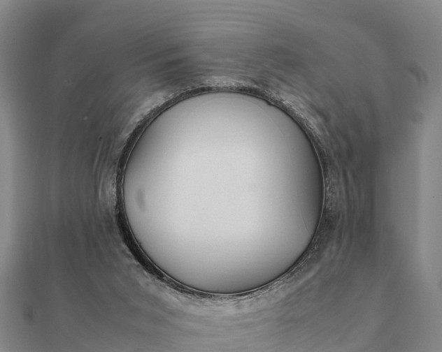 X0000112110015200908181357