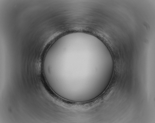 X0000112110016200908181357