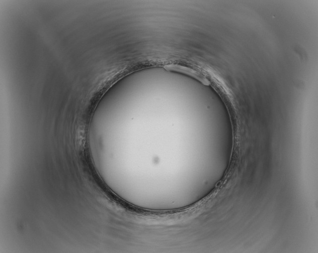 X0000112110017200908181357