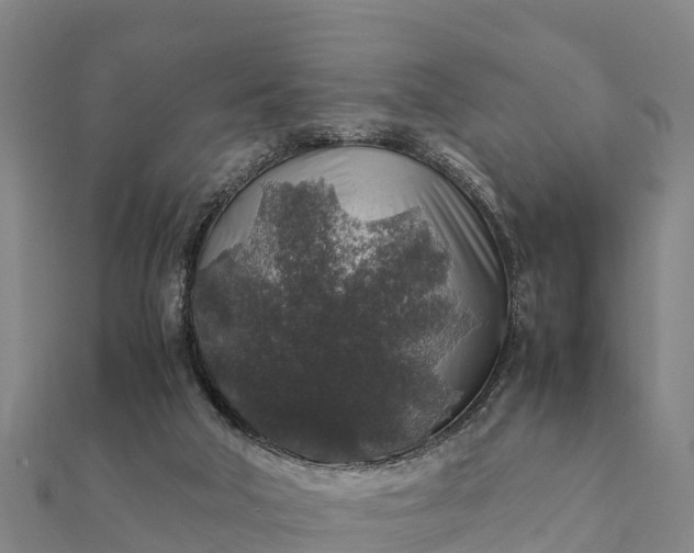 X0000112110018200908181357