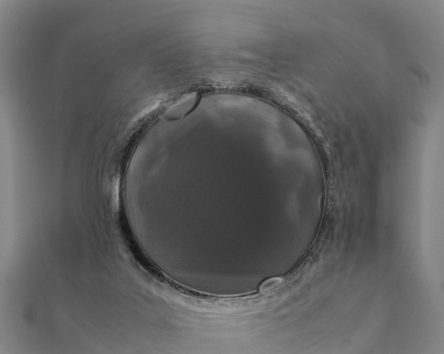 X0000112110019200908181357