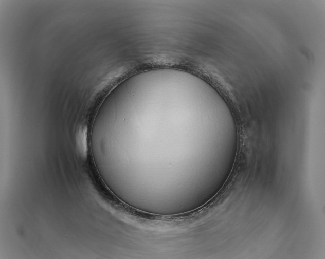 X0000112110020200908181357