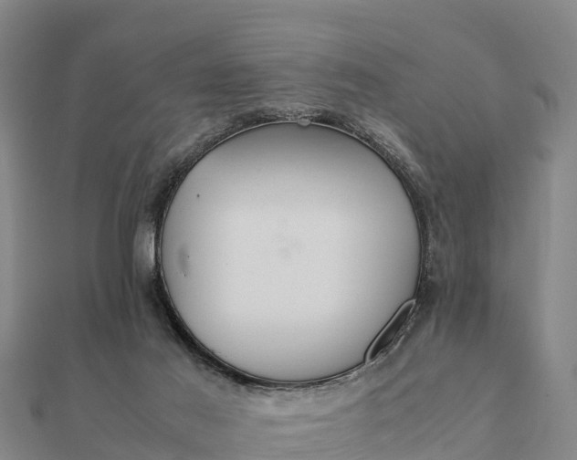 X0000112110021200908181357