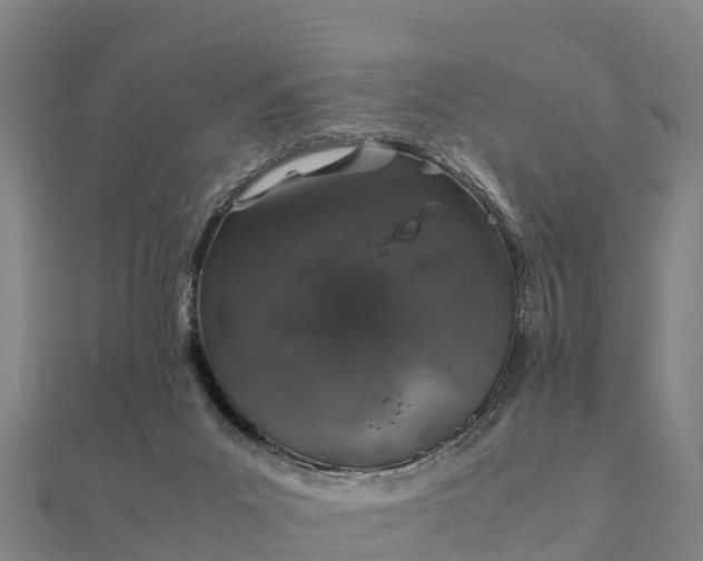 X0000112110023200908181357