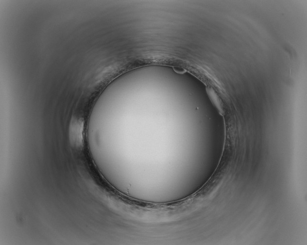 X0000112110024200908181357