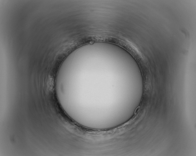 X0000112110025200908181357