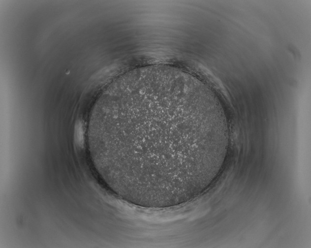 X0000112110026200908181357